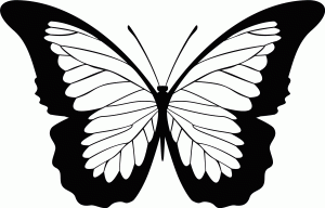 Naklejka na ścianę Motyl 47