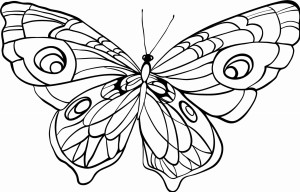 Naklejka na ścianę Motyl 24