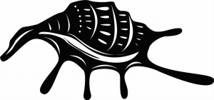 #Naklejka na ścianę Muszla 58