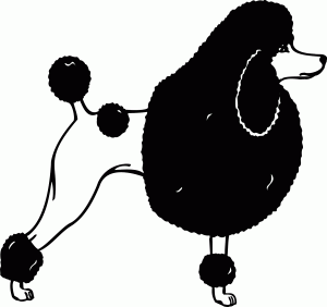 #Naklejka ścienna Pudel 55