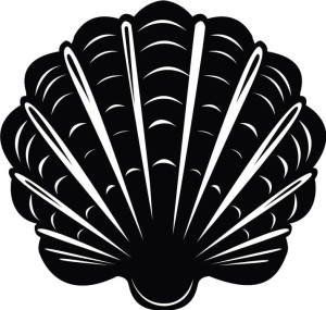 Naklejka ścienna Muszla 65