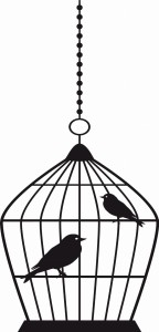 Naklejka na ścianę Klatka z ptakami 7