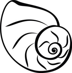 Naklejka na ścianę Muszla 62