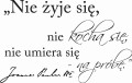 txt_120_2.jpg