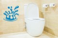 toilet.jpg