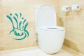 toilet.jpg