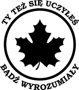 #Naklejka na auto MŁODY KIEROWCA, ZIELONY LISTEK 132