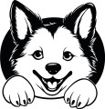 Z_78-50x50-akita.jpg