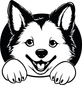 Naklejka ścienna AKITA 78