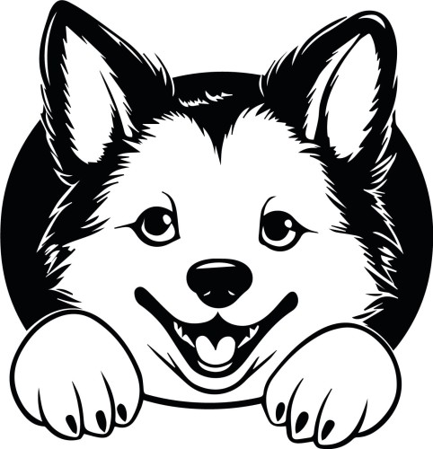 Z_78-50x50-akita.jpg