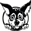 Z_80-50x50-cattle-dog.jpg