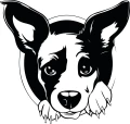 Z_82-50x50-basenji.jpg