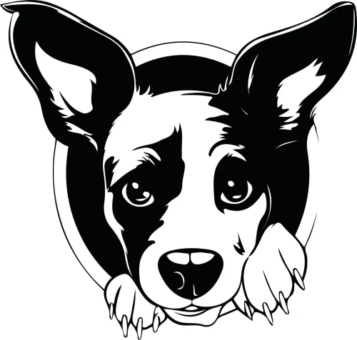 Z_82-50x50-basenji.jpg