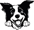 Z_85-50x50-border-collie.jpg