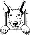 Z_88-50x50-bull-terrier.jpg