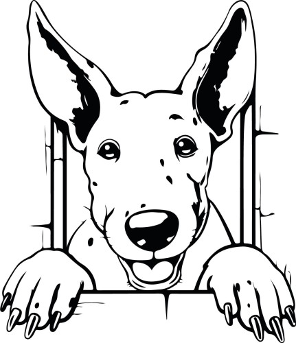 Z_88-50x50-bull-terrier.jpg