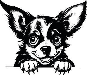 #Naklejka ścienna CHIHUAHUA 90