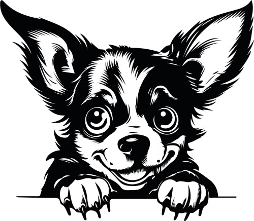 Z_90-50x50-chihuahua.jpg