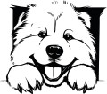 Z_91-50x50-chowchow.jpg