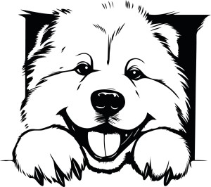 #Naklejka ścienna CHOW CHOW 91