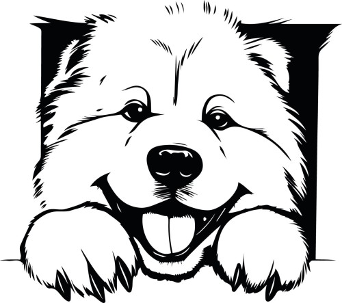 Z_91-50x50-chowchow.jpg