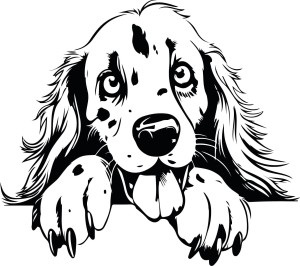 Naklejka ścienna SETTER ANGIELSKI 94