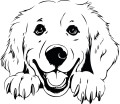 Z_96-50x50-golden-retriever.jpg