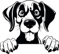 Z_97-50x50-dog-niemiecki.jpg