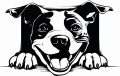 Z_76-50x75-amerykański-staffordshire-terrier.jpg