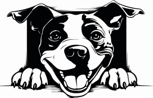 #Naklejka ścienna AMERYKAŃSKI STAFFORDSHIRE TERRIER 76