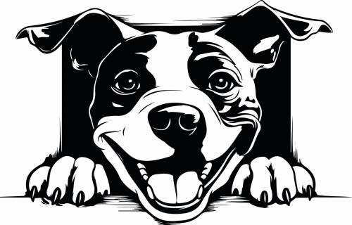 Z_76-50x75-amerykański-staffordshire-terrier.jpg