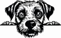 Z_79-50x75-border-terrier.jpg