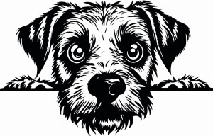 #Naklejka ścienna BORDER TERRIER 79