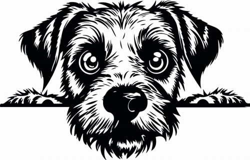 Z_79-50x75-border-terrier.jpg