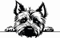 Z_82-50x75-cairn-terrier.jpg