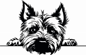 #Naklejka ścienna CAIRN TERRIER 81