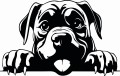 Z_83-50x75-cane-corso.jpg