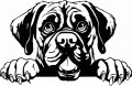 50x75-bulmastiff.jpg