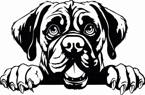 50x75-bulmastiff.jpg