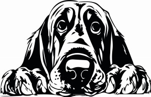 #Naklejka ścienna BLOODHOUND 78