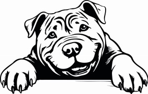 Naklejka ścienna SHAR PEI 84