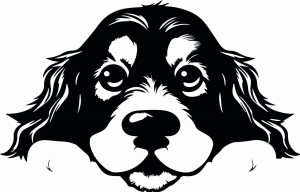 #Naklejka ścienna COCKER SPANIEL 85