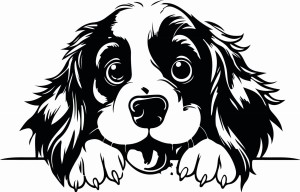 Naklejka ścienna SPRINGER SPANIEL ANGIELSKI 87