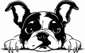 Z_88-50x75-buldog-francuski.jpg