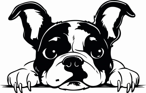 Z_88-50x75-buldog-francuski.jpg