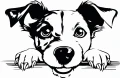 Z_90-50x75-jack-russel.jpg