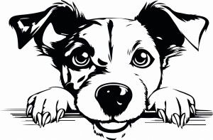 Naklejka ścienna JACK RUSSEL 90
