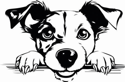 Z_90-50x75-jack-russel.jpg