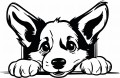 Z_95-50x75-welsch-corgi-'.jpg