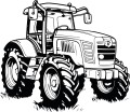 auto3-nowe.jpg